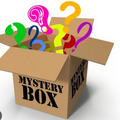 Mystery Box Large USPS Box