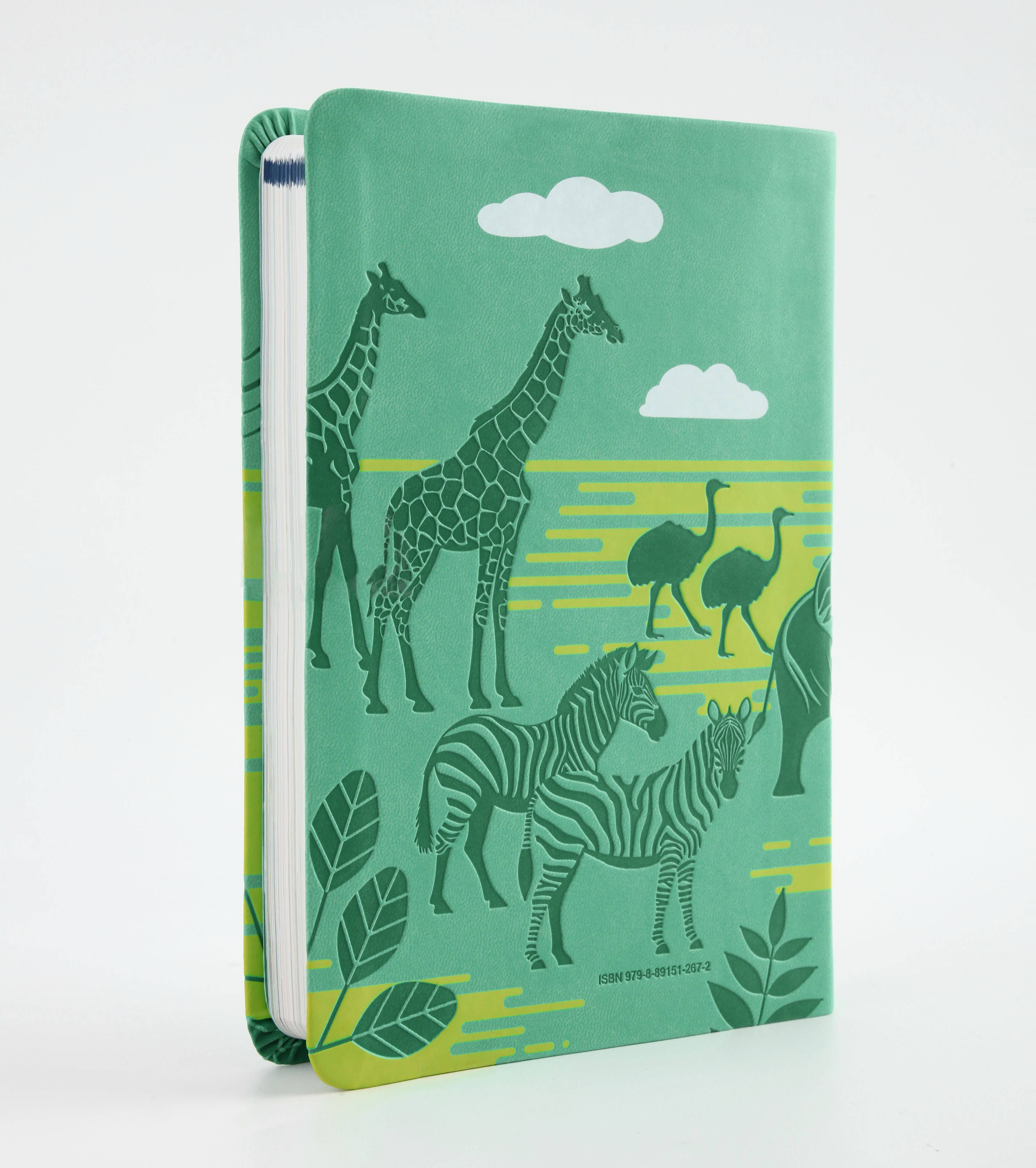 The KJV Kids' Devotional Bible