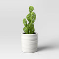 Small Artificial Cactus Plant in Pot