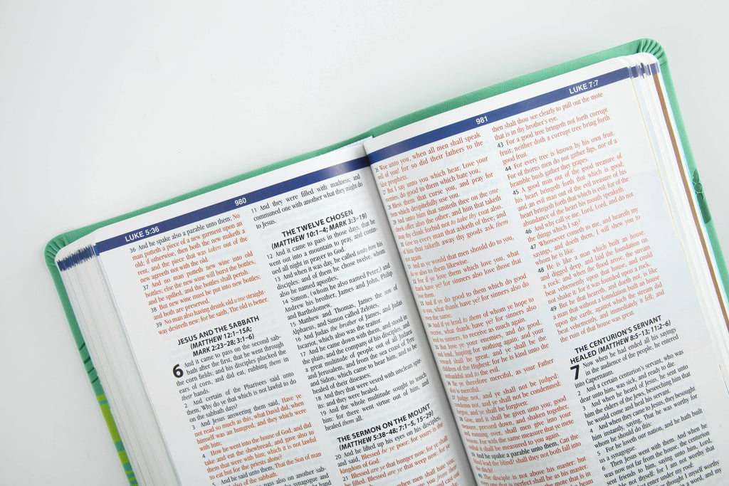 The KJV Kids' Devotional Bible